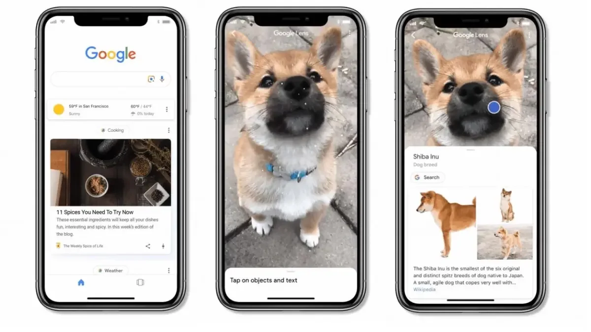 Google Lens banner showing broad visual search and image-based identification