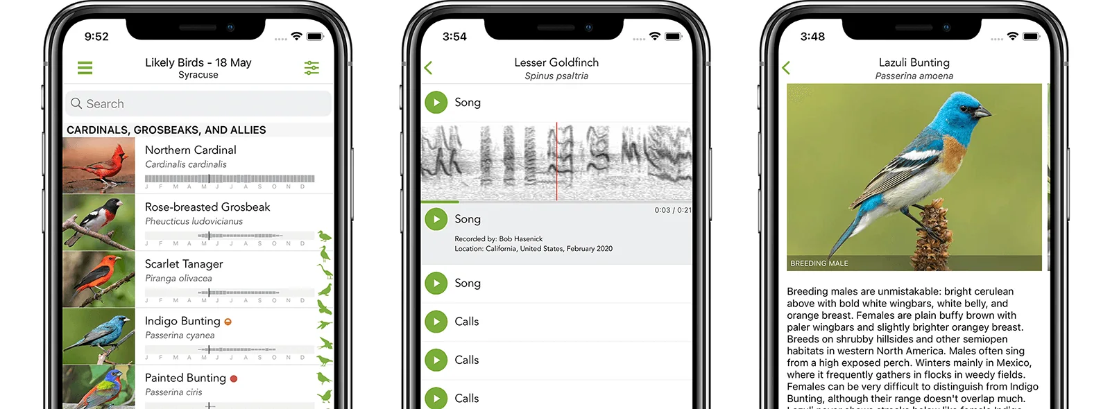 Merlin Bird ID app banner showing bird identification by photo, sound and guided questions