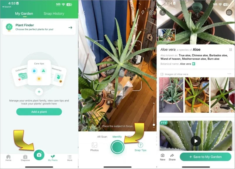 PictureThis app banner showing plant identification, care guidance and plant health tools