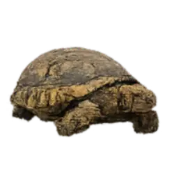Aldabra Giant Tortoise (Aldabrachelys gigantea) thumbnail image on AnimalDex