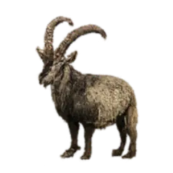 Alpine Ibex (Capra ibex) thumbnail image on AnimalDex