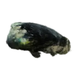 Barreleye (Macropinna microstoma) thumbnail image on AnimalDex