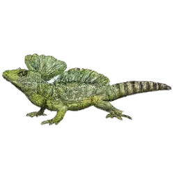 Basilisk Lizard (Basiliscus basiliscus) featured animal image on AnimalDex