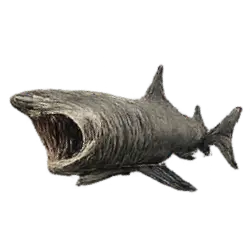 Basking Shark (Cetorhinus maximus) featured animal image on AnimalDex
