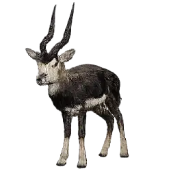 Black Lechwe (Kobus leche smithemani) featured animal image on AnimalDex