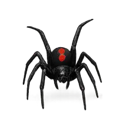 Southern Black Widow animal lesson image on AnimalDex