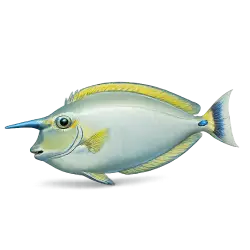 Bluespine unicornfish animal lesson image on AnimalDex