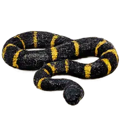 Boelen's Python (Simalia boeleni) thumbnail image on AnimalDex