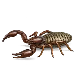 Book Scorpion
