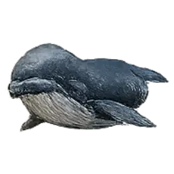 Bowhead Whale (Balaena mysticetus) thumbnail image on AnimalDex
