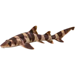 Brownbanded Bamboo Shark (Chiloscyllium punctatum) thumbnail image on AnimalDex