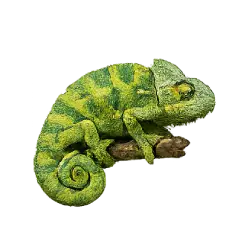 Chameleon (Chamaeleonidae) featured animal image on AnimalDex
