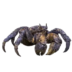 Coconut Crab (Birgus latro) featured animal image on AnimalDex