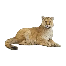 Cougar (Puma concolor) thumbnail image on AnimalDex