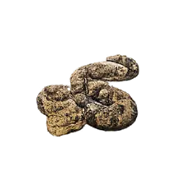 Desert Horned Viper (Cerastes cerastes) featured animal image on AnimalDex