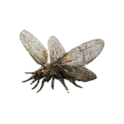 Dobsonfly (Corydalus cornutus) featured animal image on AnimalDex