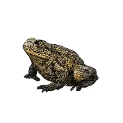 Dusky Gopher Frog (Lithobates sevosus) featured animal image on AnimalDex