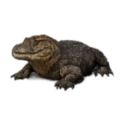 Dwarf Caiman (Paleosuchus palpebrosus) thumbnail image on AnimalDex