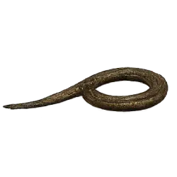 Eastern Glass Lizard (Ophisaurus ventralis) featured animal image on AnimalDex