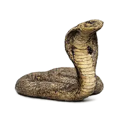 Egyptian Cobra (Naja haje) featured animal image on AnimalDex