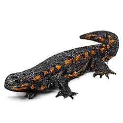 Emperor Newt (Tylototriton shanjing) thumbnail image on AnimalDex