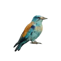 European Roller (Coracias garrulus) thumbnail image on AnimalDex