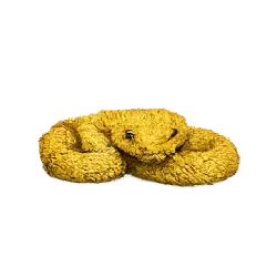 Eyelash Viper (Bothriechis schlegelii) thumbnail image on AnimalDex
