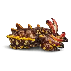 Flamboyant Cuttlefish animal lesson on AnimalDex