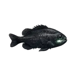 Flashlight Fish (Anomalops katoptron) thumbnail image on AnimalDex