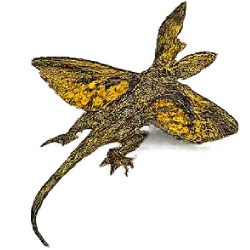 Flying Dragon (Draco volans) featured animal image on AnimalDex