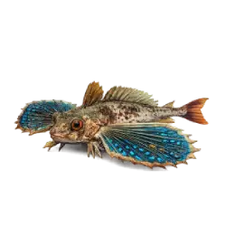 Flying Gurnard animal lesson on AnimalDex