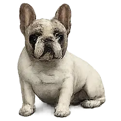 French Bulldog animal lesson image on AnimalDex