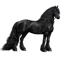 Friesian Horse animal lesson image on AnimalDex