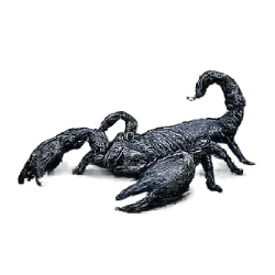 Giant Forest Scorpion (Heterometrus swammerdami) featured animal image on AnimalDex