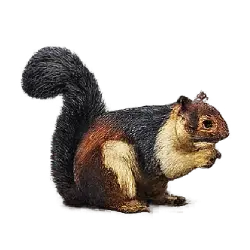 Giant Malabar Squirrel animal lesson image on AnimalDex