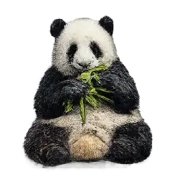 Giant Panda (Ailuropoda melanoleuca) featured animal image on AnimalDex