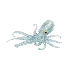 Glass Octopus animal icon