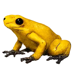 Golden Poison Frog (Phyllobates terribilis) featured animal image on AnimalDex