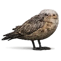 Great Potoo (Nyctibius grandis) featured animal image on AnimalDex