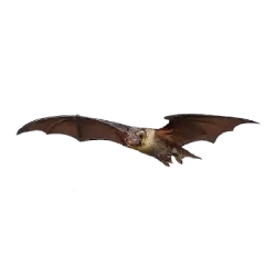 Greater Bulldog Bat (Noctilio leporinus) featured animal image on AnimalDex