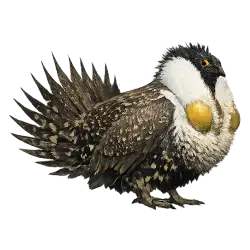 Greater Sage-Grouse (Centrocercus urophasianus) thumbnail image on AnimalDex