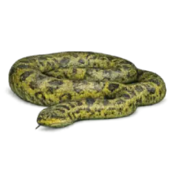 Green Anaconda (Eunectes murinus) featured animal image on AnimalDex