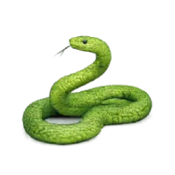 Green Mamba (Dendroaspis angusticeps) featured animal image on AnimalDex