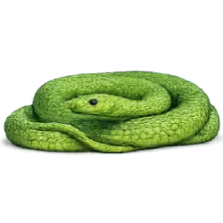 Green Tree Python (Morelia viridis) thumbnail image on AnimalDex