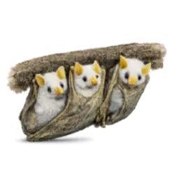 Honduran White Bat animal lesson image on AnimalDex