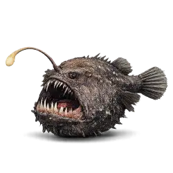 Humpback Anglerfish (Melanocetus johnsonii) featured animal image on AnimalDex