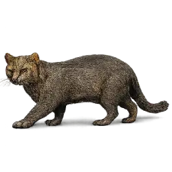 Jaguarundi (Herpailurus yagouaroundi) featured animal image on AnimalDex
