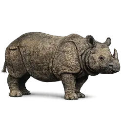 Javan Rhinoceros (Rhinoceros sondaicus) featured animal image on AnimalDex