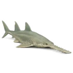 Largetooth Sawfish (Pristis pristis) featured animal image on AnimalDex