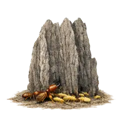 Magnetic Termite animal lesson on AnimalDex